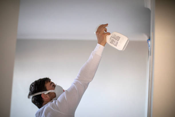 Best Emergency Mold Removal  in Monroe Manor, NJ